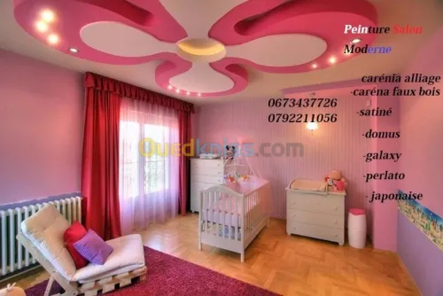 faux plafond (ba13) 