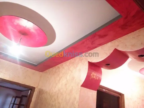 faux plafond (ba13) 