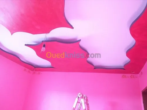 faux plafond (ba13) 