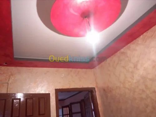 faux plafond (ba13) 