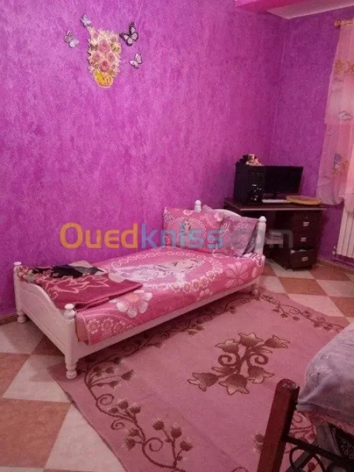 faux plafond (ba13) 