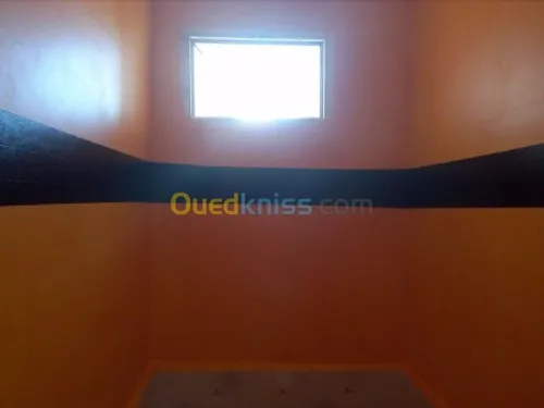 faux plafond (ba13) 