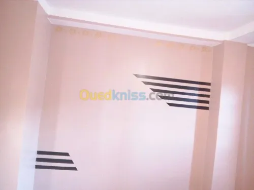 faux plafond (ba13) 
