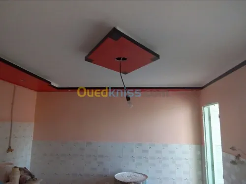 faux plafond (ba13) 
