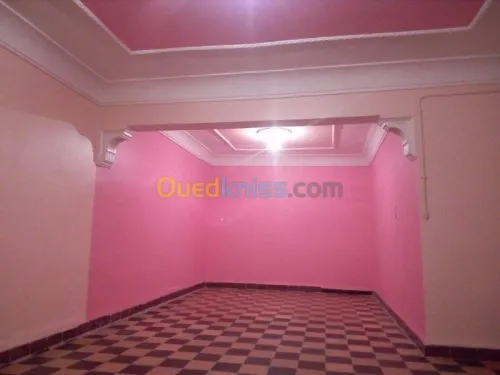 faux plafond (ba13) 