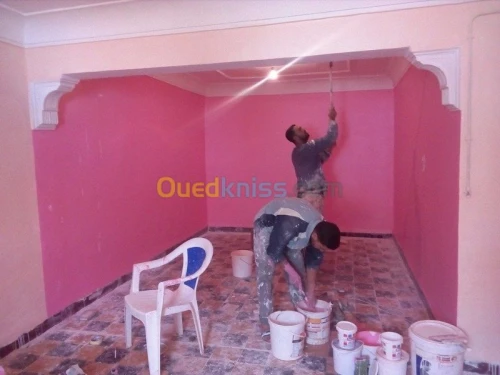 faux plafond (ba13) 