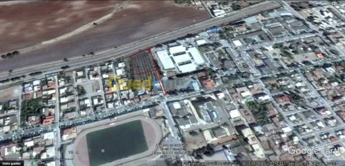 Vente Terrain Ain defla Ain defla