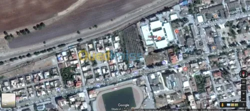 Vente Terrain Ain defla Ain defla