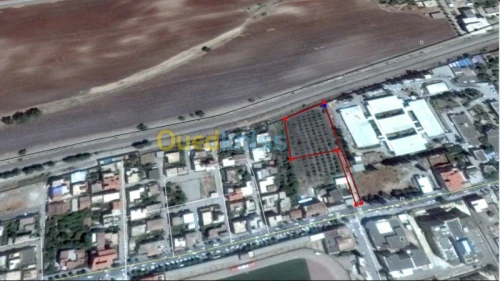 Vente Terrain Ain defla Ain defla