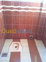 Carrleur profisionel et faillençe