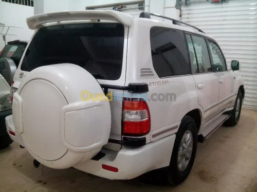 location renault trafic 