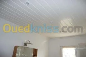 placo platre, pvc, faux plafond démont