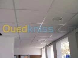 placo platre, pvc, faux plafond démont