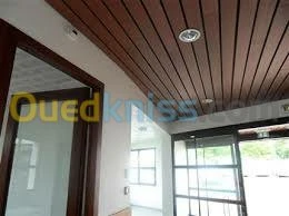 placo platre, pvc, faux plafond démont