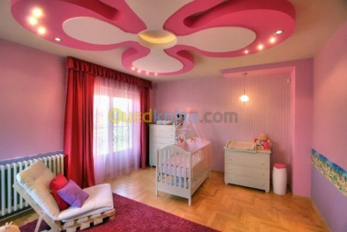 placo platre, pvc, faux plafond démont