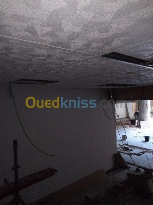 placo platre, pvc, faux plafond démont