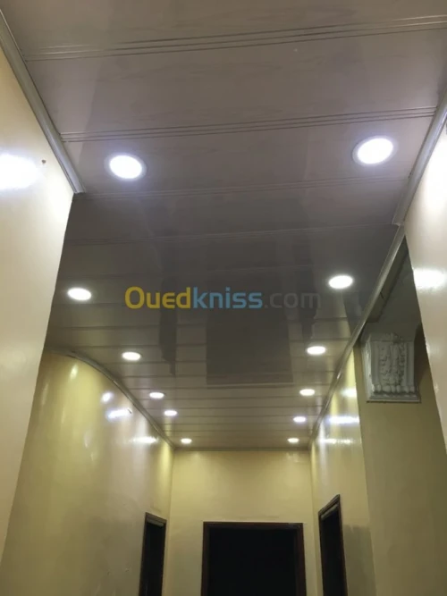 placo platre, pvc, faux plafond démont
