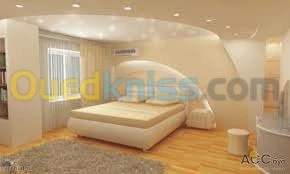 placo platre, pvc, faux plafond démont