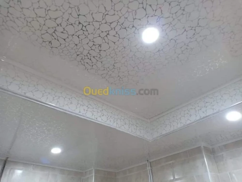BA13/peinture/PVC