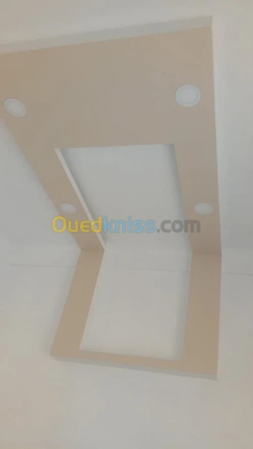 BA13/peinture/PVC