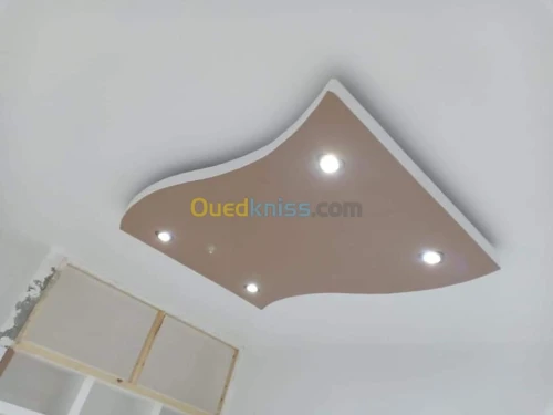 BA13/peinture/PVC
