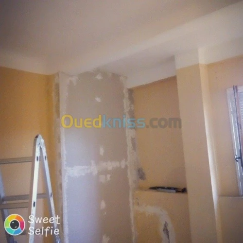 BA13/peinture/PVC