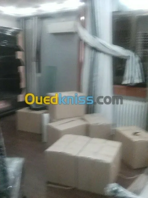 DEMENAGEMENT /TRANSPORT /MANUTENTION,>>