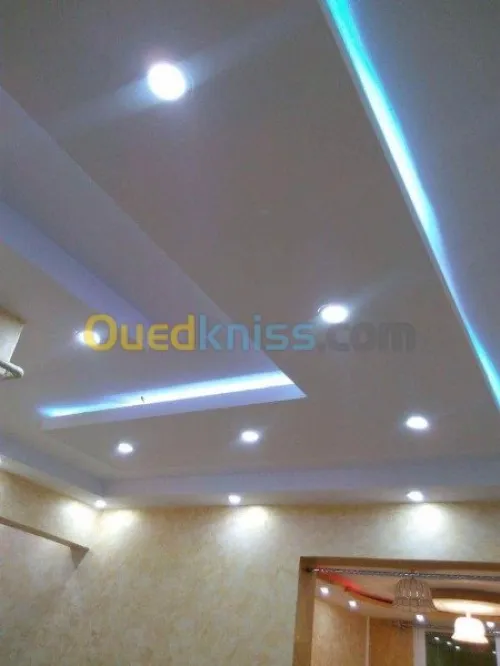 placoplatre  pvc 