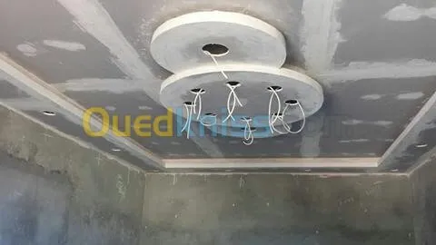 placoplatre  pvc 