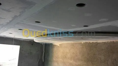 placoplatre  pvc 