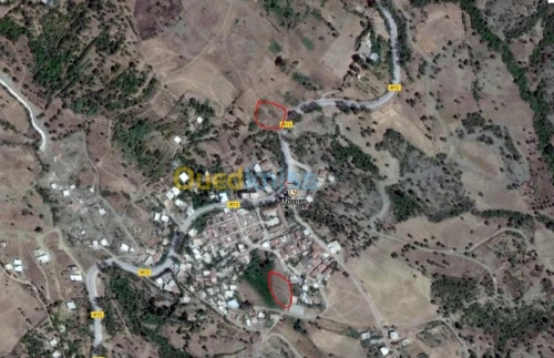 Vente Terrain Ain defla Miliana