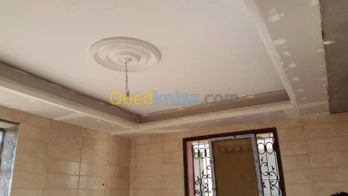 Placoplatre faux plafond BA13