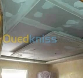 Placoplatre faux plafond BA13