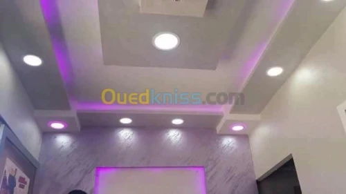 Placoplatre faux plafond BA13