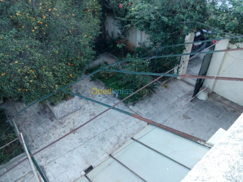 Vente Villa Alger Bologhine