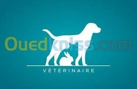 Médecine vétérinaire