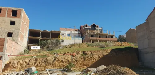 Vente Terrain Chlef Chlef