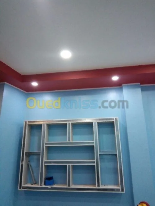 Faux plafonds, Séparations,Meuble TV