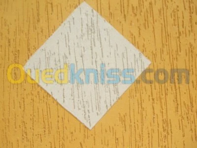 GRIFI PEINTURE DE FASADE