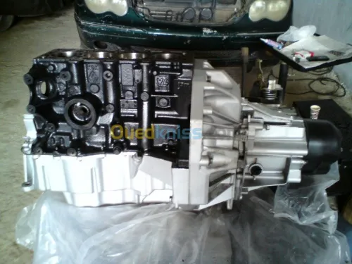 Révision Tout Type moteur De Véhicule