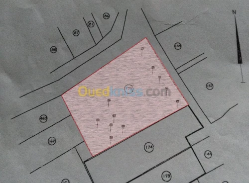 Vente Terrain Laghouat Laghouat
