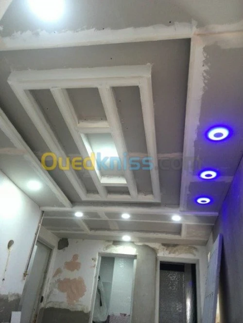 BA13  Pvc  peinture  Camera de surv