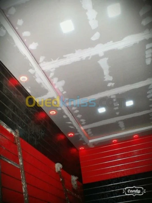 BA13  Pvc  peinture  Camera de surv