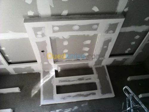 BA13  Pvc  peinture  Camera de surv