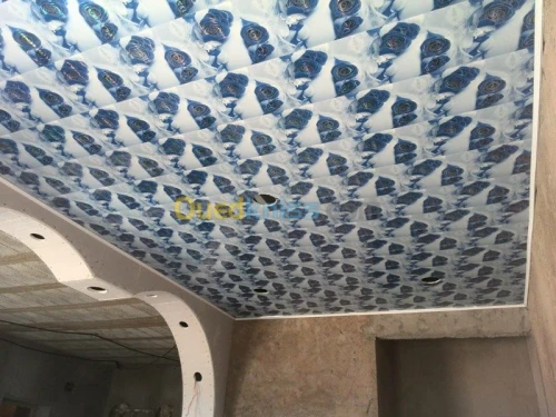 BA13  Pvc  peinture  Camera de surv