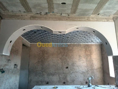 BA13  Pvc  peinture  Camera de surv
