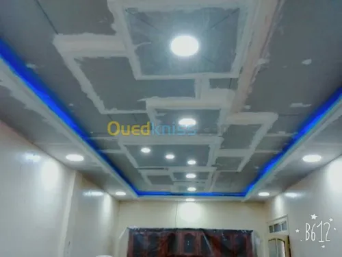 BA13  Pvc  peinture  Camera de surv