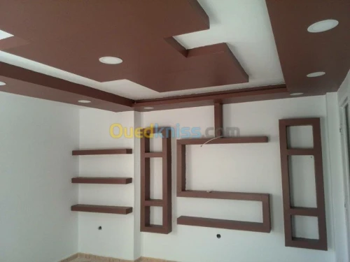 BA13  Pvc  peinture  Camera de surv