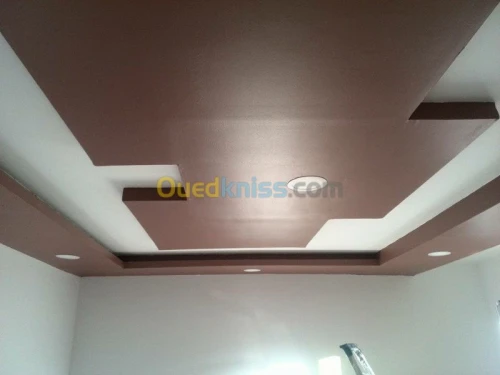BA13  Pvc  peinture  Camera de surv