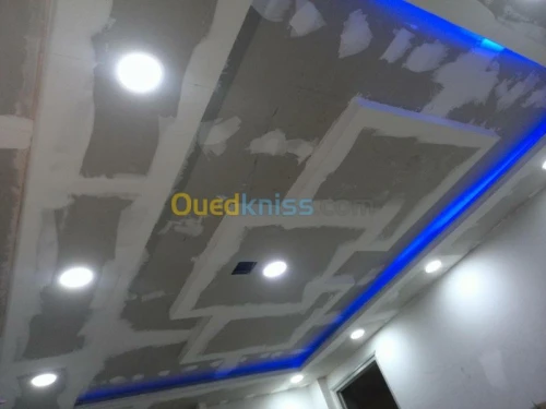 BA13  Pvc  peinture  Camera de surv